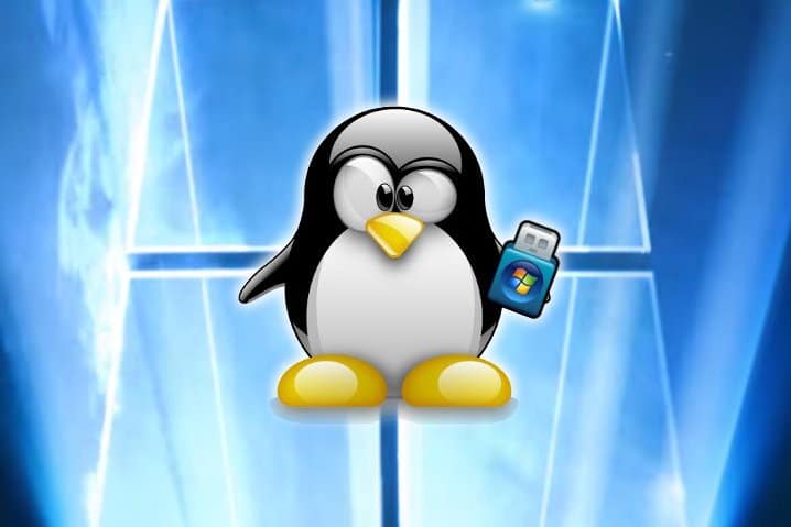 USB desde Linux