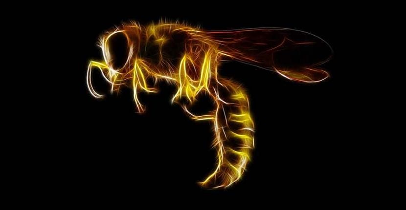 HiddenWasp