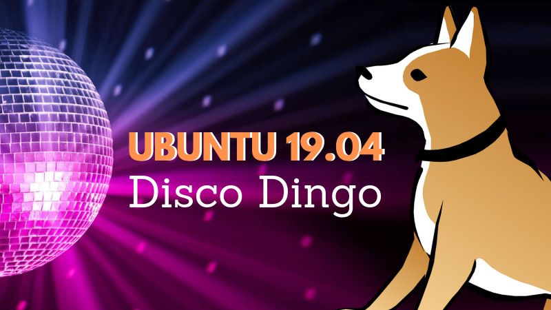 Disco Dingo