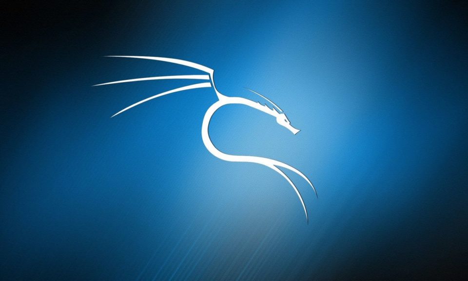 Kali linux android