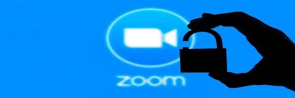 Zoom