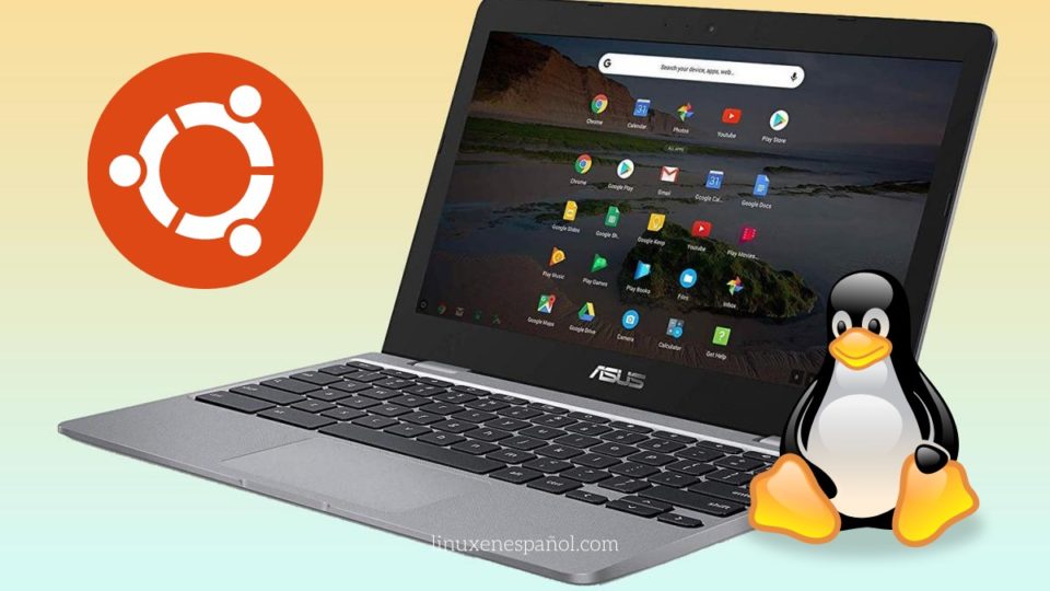 Linux en Chromebook