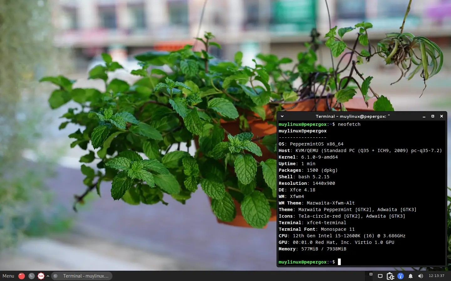 Peppermint OS basado en Debian 12 ‘Bookworm’