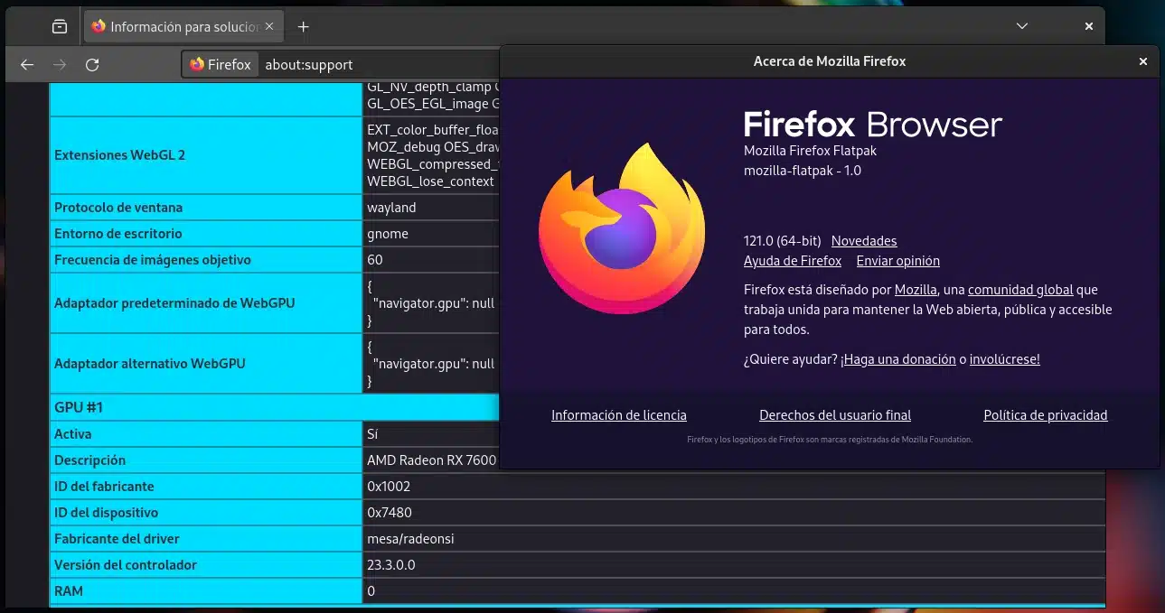 Mozilla Firefox 121 para Linux (Flatpak) con el soporte de Wayland habilitado por defecto.