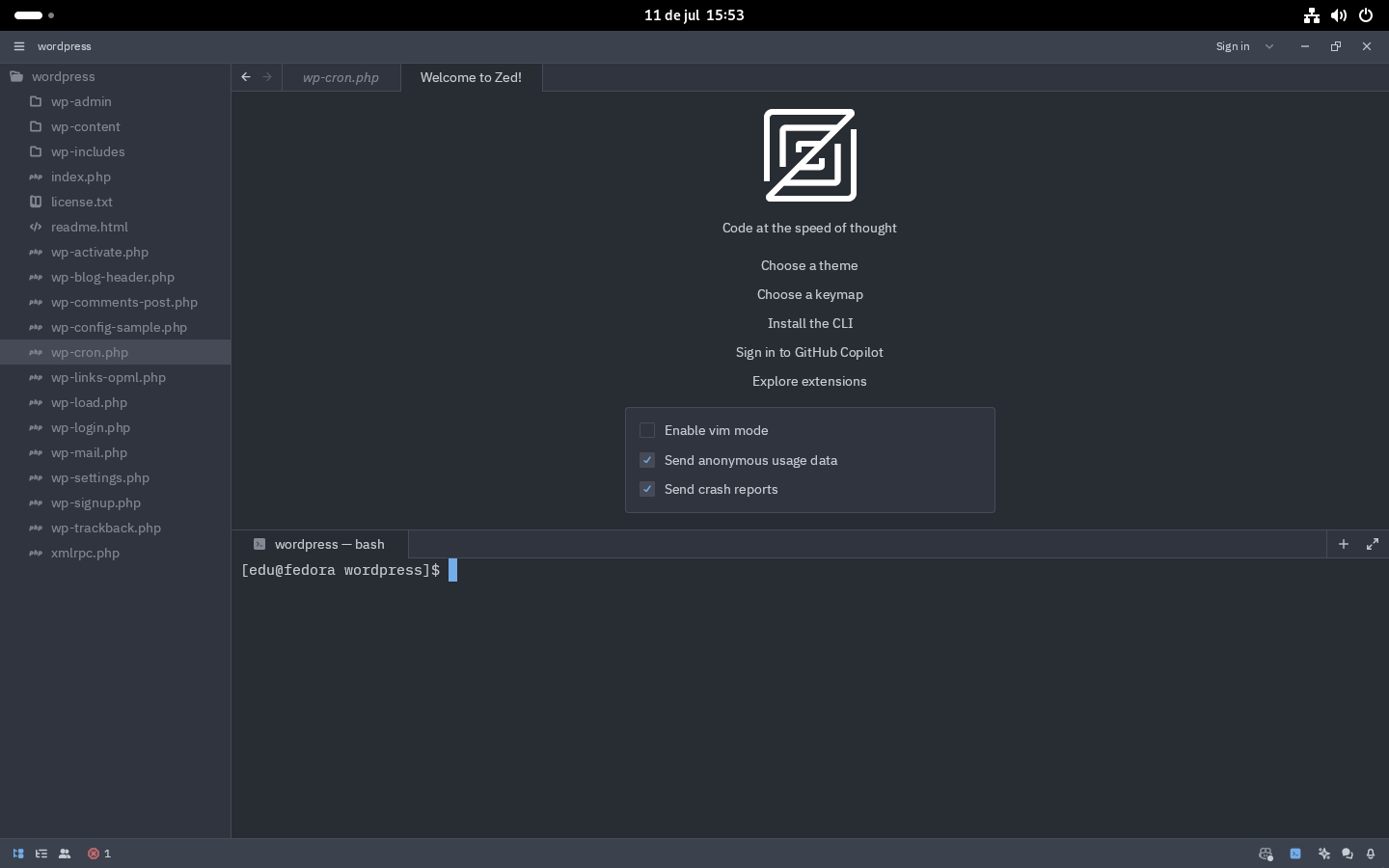 Editor de código Zed