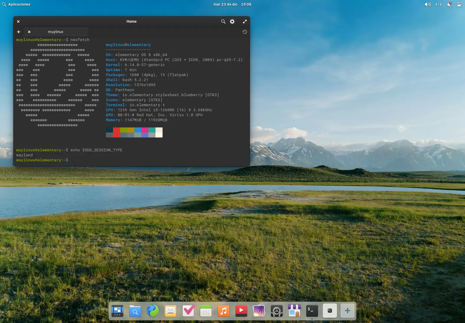 elementary OS 8.1